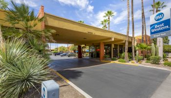 This image shows the entrance of a Best Western Royal Sun hotel, featuring a driveway, palm trees, and the hotel's signage on the right.