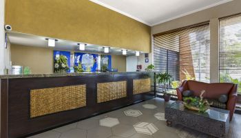 The image shows a modern reception area with a wooden front desk, decorative plants, a seating area with a red chair, and large windows with blinds.