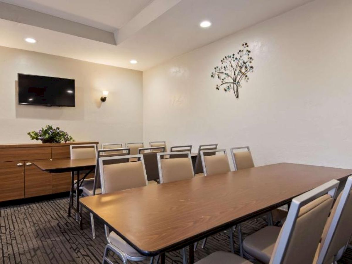 A modern conference room with a long table, chairs, a TV on the wall, wall decor, and a cabinet with plants.