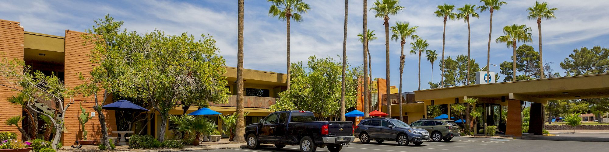 The image shows a parking lot with several cars, including a black truck, near a building surrounded by greenery and tall palm trees.