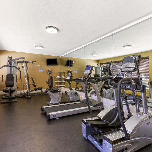 A gym with exercise equipment, including treadmills, a weight machine, and elliptical machines, with mirrors and a window.