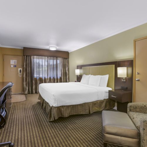 A hotel room with a double bed, armchair, desk, desk chair, TV, and lamps. The room has a patterned carpet, curtains, and neutral-colored walls.