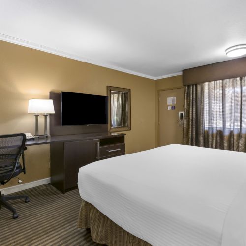 A hotel room with a large bed, TV, desk, office chair, lamp, and window with curtains. The walls are beige, and the carpet is striped.