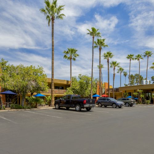 The image shows a parking lot with several palm trees, parked cars, and a building in the background under a partly cloudy sky.